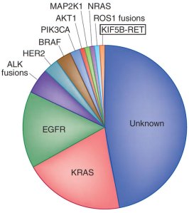 lung cancer genome